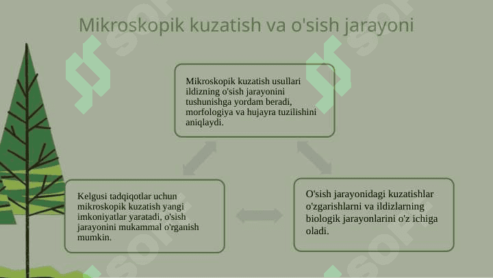 Ildizning o'sish qismini aniqlash usulli 7