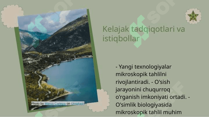 Ildizning o'sish qismini aniqlash usulli 8