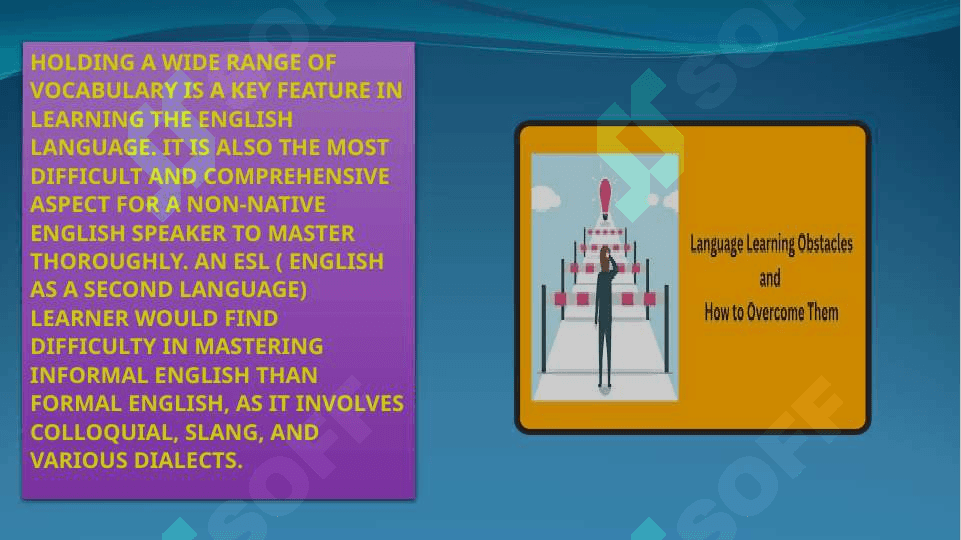 Issues in language learning 3