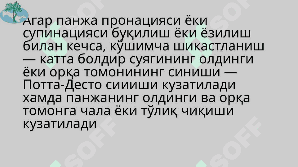 Tizza bo’g’imi shikastlanishlari 4