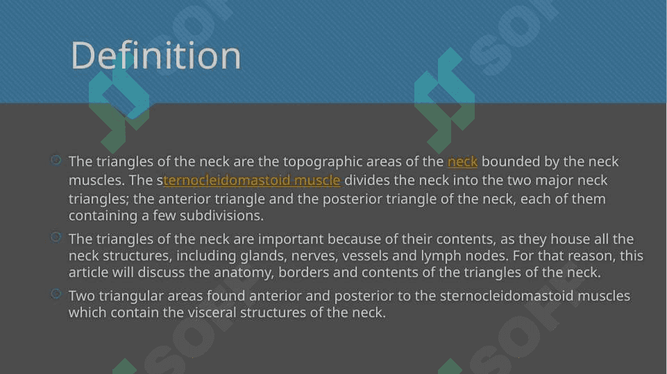 Triangles of neck anatomy 2