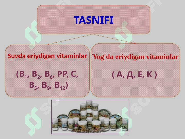 V I T A M I NL A R 3