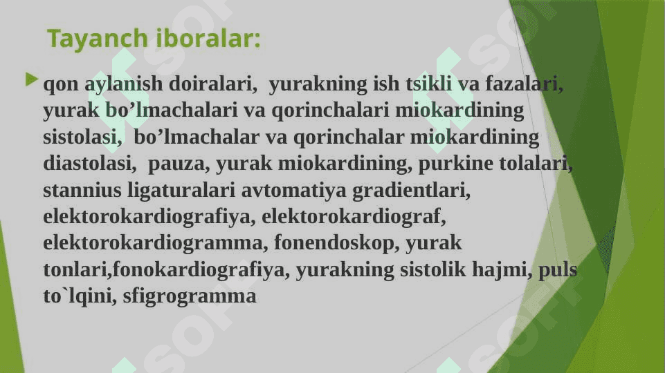 YURAK – QON TOMIRLARI TIZIMI TUZILISHI 3