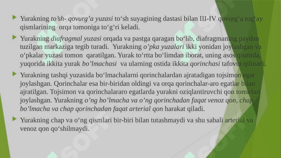 YURAK – QON TOMIRLARI TIZIMI TUZILISHI 7
