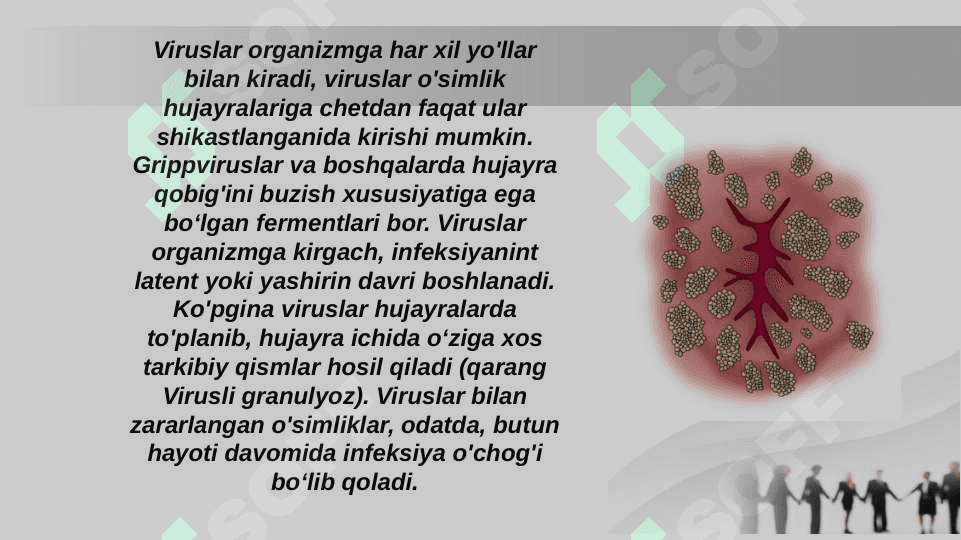 Onkogen viruslarning klassifikatsiyasi.DNK SAQLOVCHI ONKOGEN VIRUSLAR. PAPILLOMA VIRUSI ,POLIOMA VIRUSI.PATOGENEZI,KLINIK KECHISHI,LABOROTORIYA TASHXISI 4
