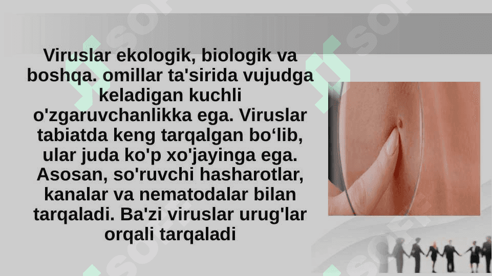 Onkogen viruslarning klassifikatsiyasi.DNK SAQLOVCHI ONKOGEN VIRUSLAR. PAPILLOMA VIRUSI ,POLIOMA VIRUSI.PATOGENEZI,KLINIK KECHISHI,LABOROTORIYA TASHXISI 5