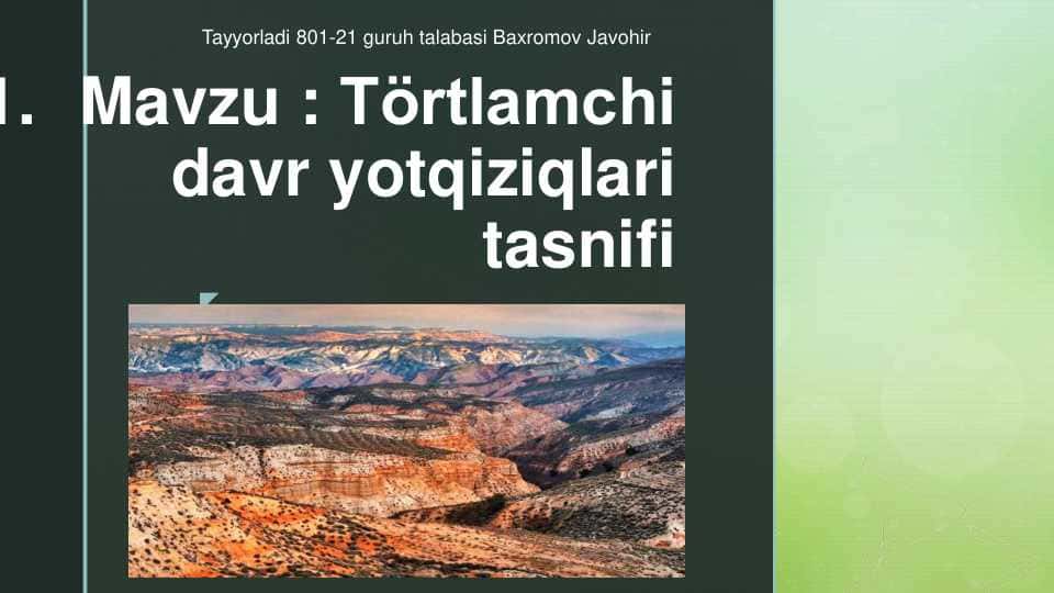 Toʻrtlamchi davr yotqiziqlari