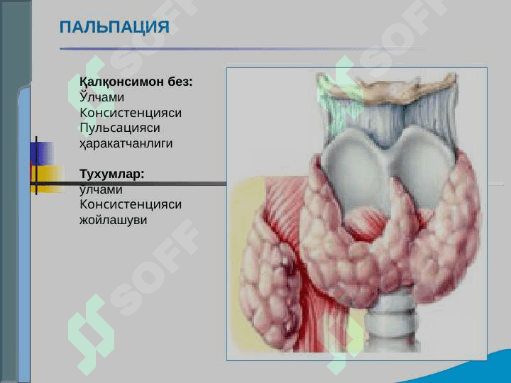 Endokrin tizimi kasalliklari bo`lgan bemorlarni tekshirish .  Qandli diabet , gipo va gipertireozning asosiy klinik simptomlari 4
