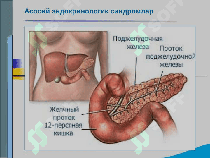 Endokrin tizimi kasalliklari bo`lgan bemorlarni tekshirish .  Qandli diabet , gipo va gipertireozning asosiy klinik simptomlari 5