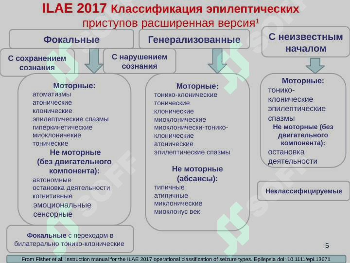 СЕМИОЛОГИЯ ЭПИЛЕПТИЧЕСКИХ ПАРОКСИЗМОВ . ЭПИЛЕПТИЧЕСКИЙ СТАТУС 5