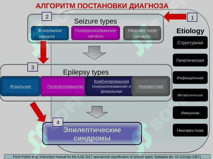 СЕМИОЛОГИЯ ЭПИЛЕПТИЧЕСКИХ ПАРОКСИЗМОВ . ЭПИЛЕПТИЧЕСКИЙ СТАТУС 6