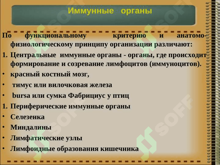 Иммунная система организма. Классификация иммунитета. Врожденный и приобретенный иммунитет. 3