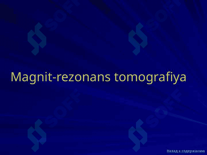 Magnit-rezonans tomografiya 2