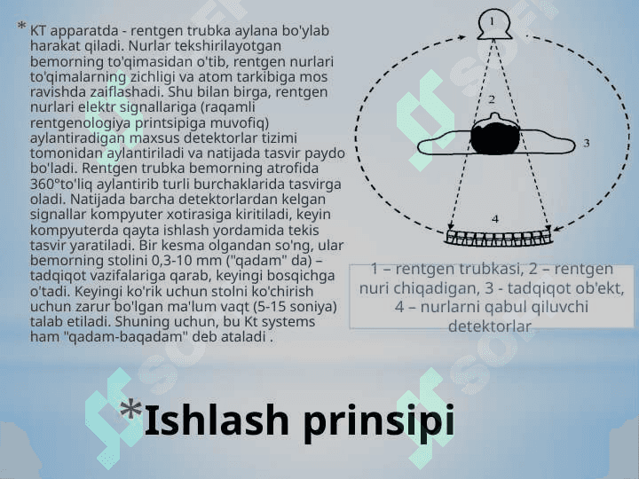 Kompyuter tomografiya 6