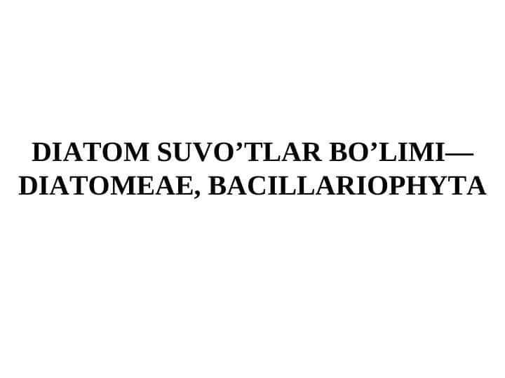 Diatom suvo'tlar bo'limi 1