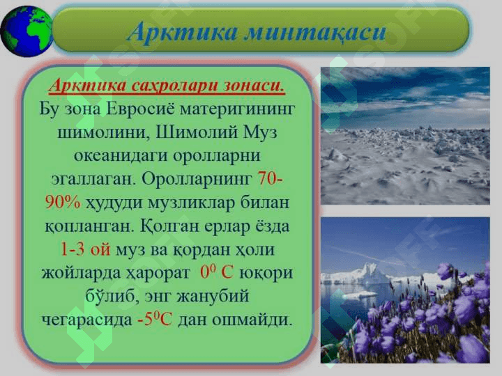 Diatom suvo'tlar bo'limi 3