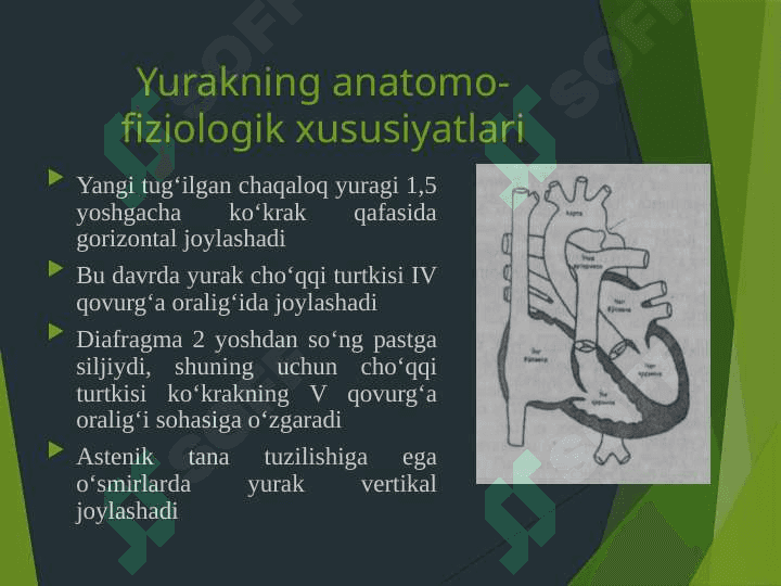 BOLALARDA YURAK-QON TOMIR TIZIMINING ANATOMO-FIZIOLOGIK XUSUSIYATLARI 6