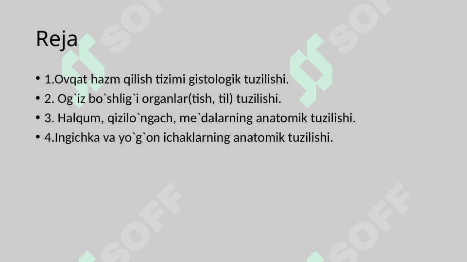 Ovqat hazm qilish a’zolari 2