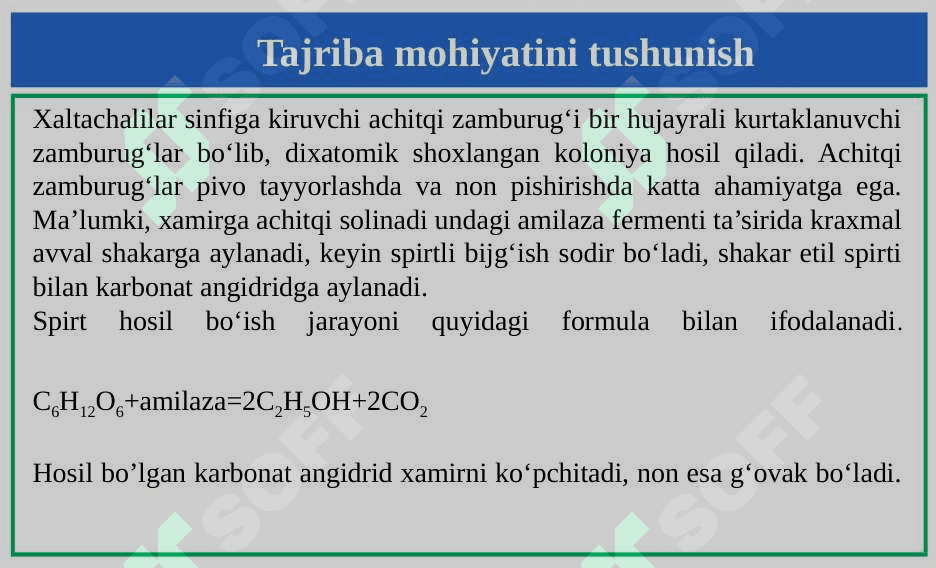Zamburug‘larga tashqi muhit omillari ta‘sirini o‘rganish 3