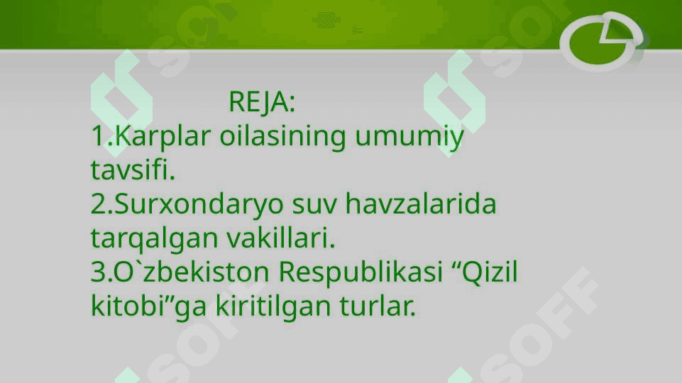 Surxondaryo suv havzalarida tarqalgan karplar oilasining vakillari 2