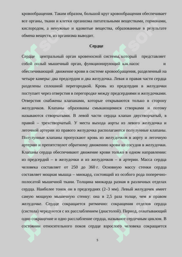 Возрастные особенности система кровообращения 5