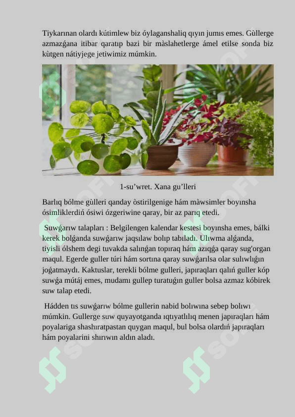 Xana ósimliklerin  kóbeytiw usillari. 6