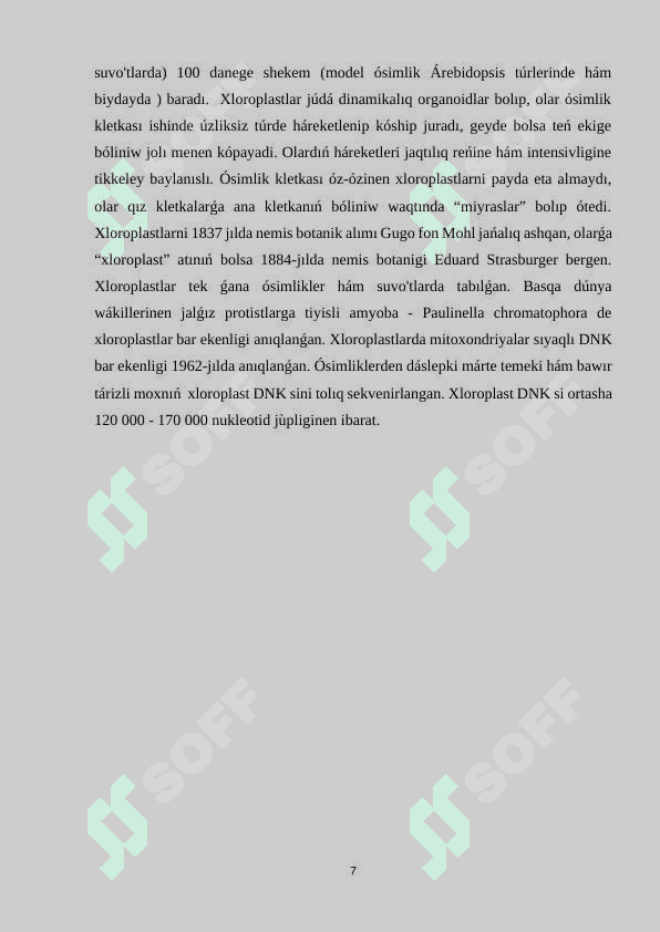 Xloroplasttıń dùzilisi hám funksiyası 7