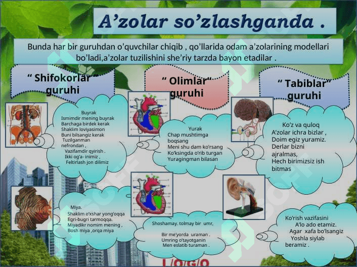Nafas olish organlarining tuzilishi 7