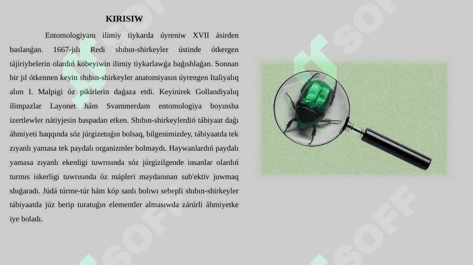 Nasekomalardiń insan-tirishiligindegi áhmiyeti 3