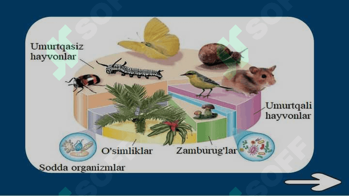 BIOLOGIYA – HAYOT HAQIDAGI FAN 3