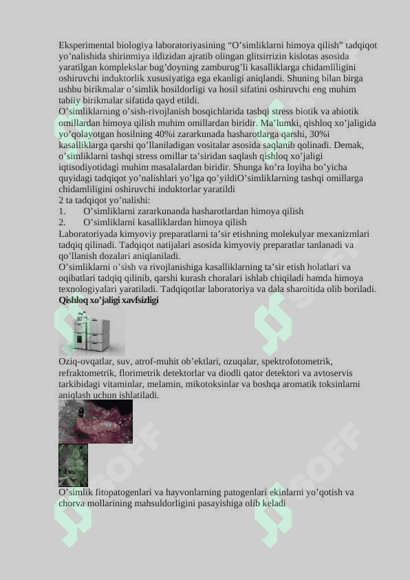 O’SIMLIKLAR TIZIMLI IMMUNIZATSIYASI VA UNING  MEXANIZMLARI 2
