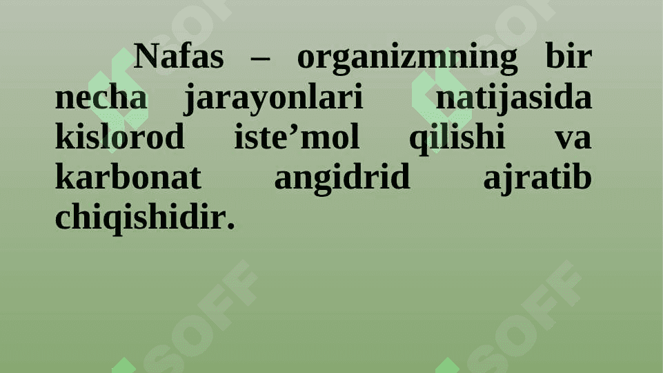 Nafas olish tizimining fiziologiyasi 3