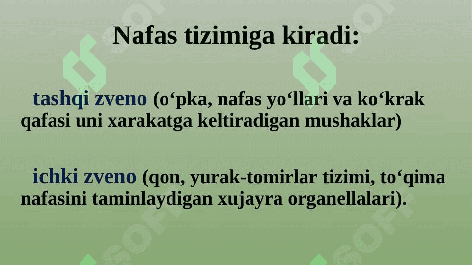 Nafas olish tizimining fiziologiyasi 4