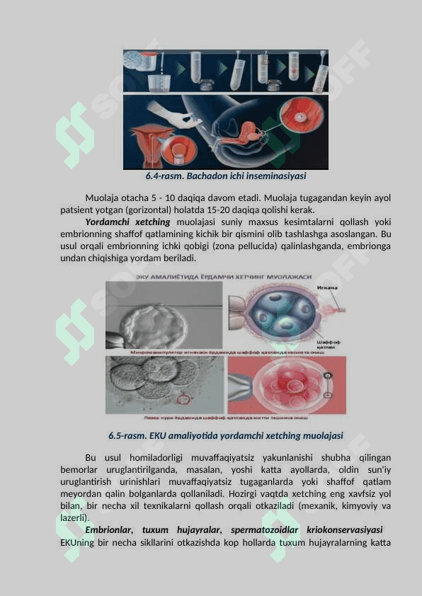 Yangi reproduktiv texnologiyalarni ahloqiy muammolari 4