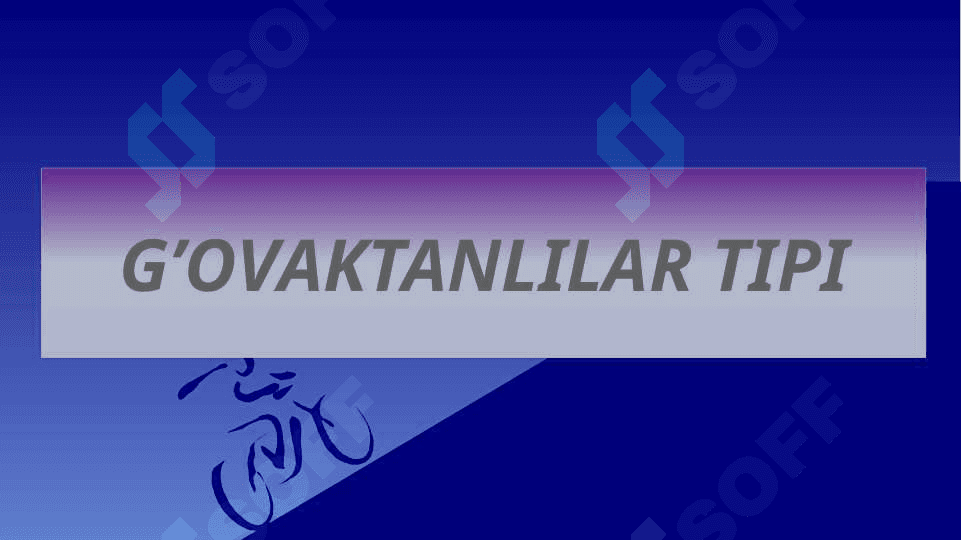 Plastinkalilar, G’ovaktanlilar va Taroqsimonlar tiplari 2