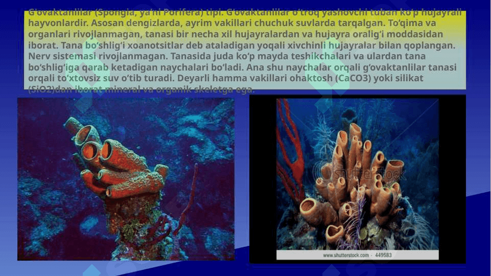 Plastinkalilar, G’ovaktanlilar va Taroqsimonlar tiplari 6