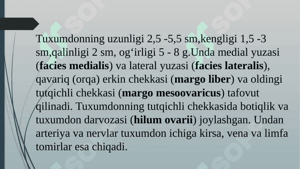 Ayollar jinsiy sistemasi 4