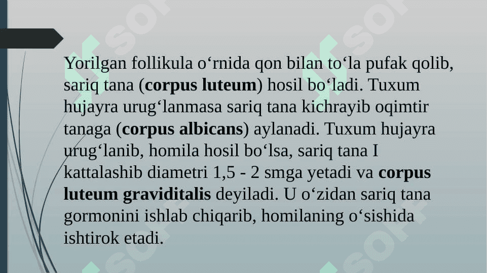 Ayollar jinsiy sistemasi 8