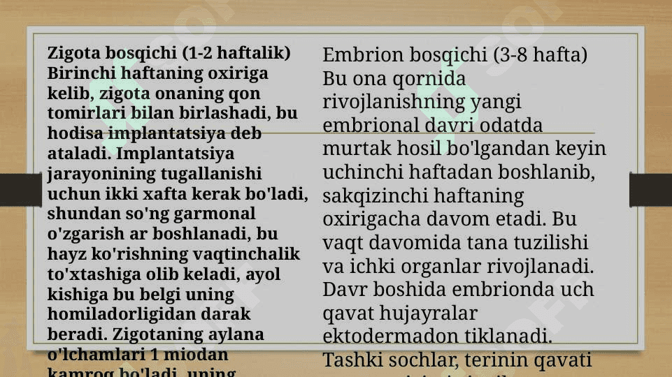 Ontogenezning ilk bosqichlari 2