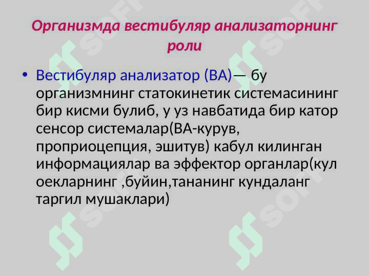 Вестибуляр  анализатор 3