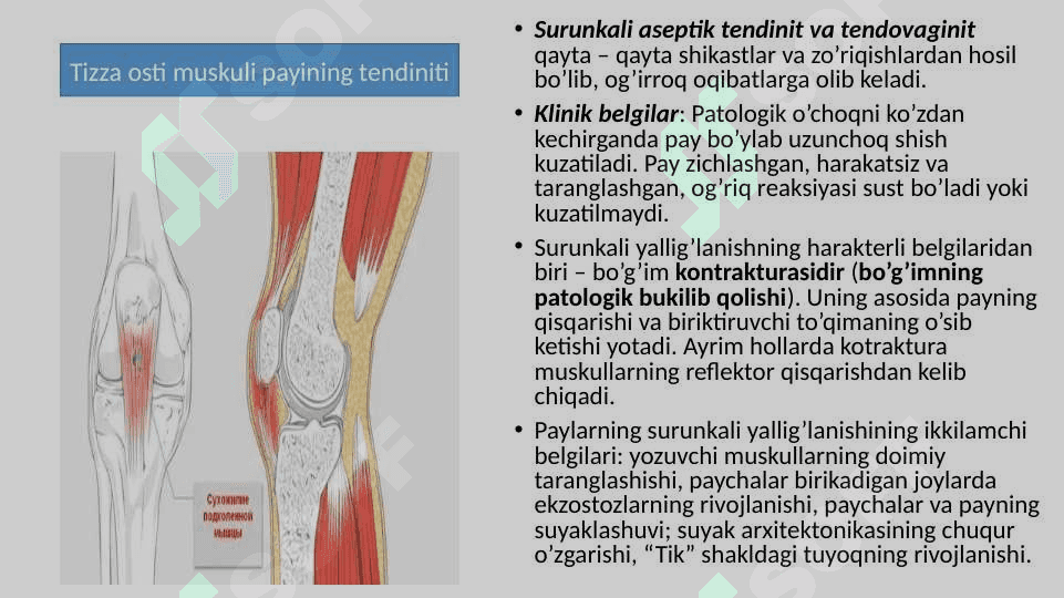 XIZMAT HAYVONLARINING JARROHLIK KASALLIKLARI 3