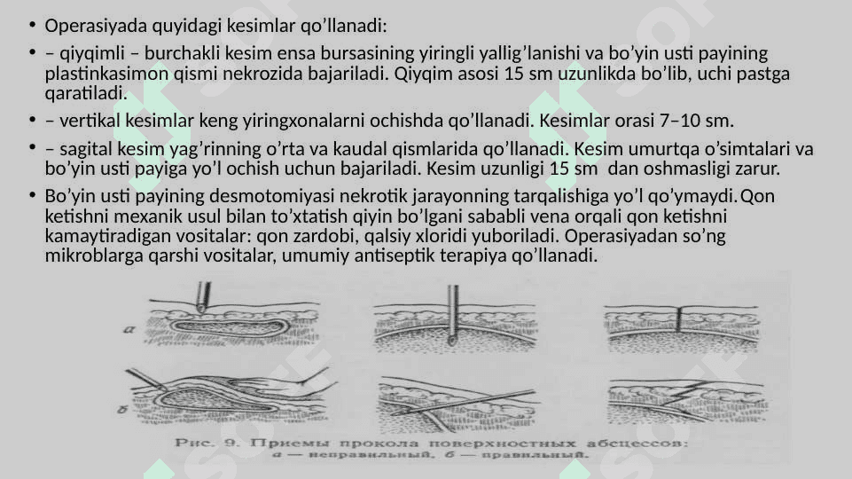 XIZMAT HAYVONLARINING JARROHLIK KASALLIKLARI 7