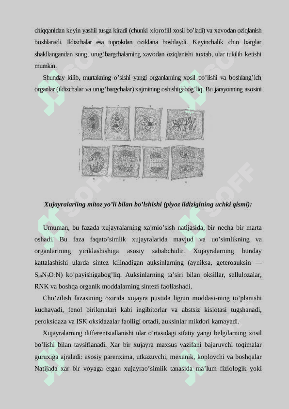 O'SIMLIKLARNING KELIB CHIQISH TARIXI VA ORGANLARNING PAYDO BO'LISHI HAQIDA 4