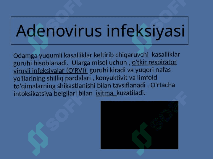 Adenoviruslar 3