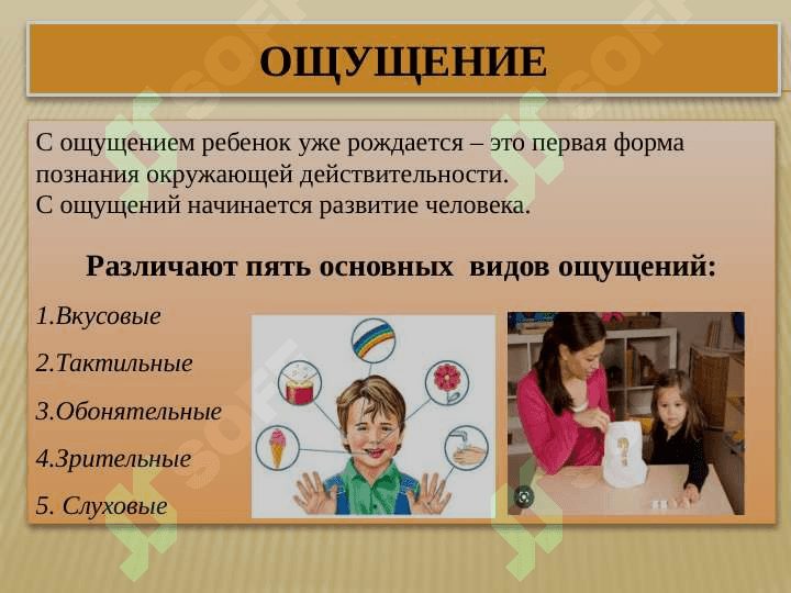 Познавательные процессы и развитие речи в раннем детстве 4