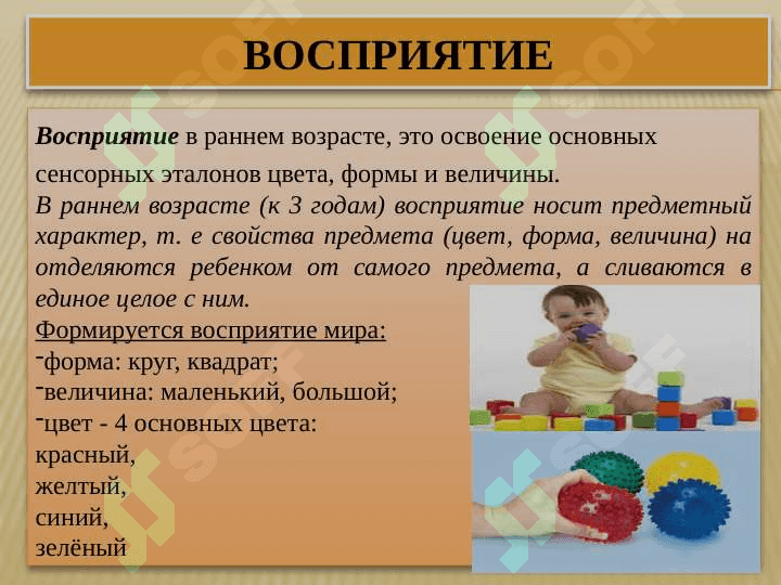 Познавательные процессы и развитие речи в раннем детстве 5