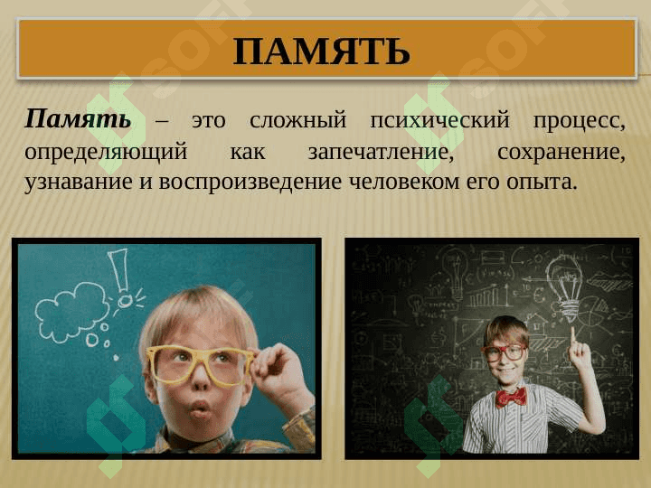 Познавательные процессы и развитие речи в раннем детстве 8