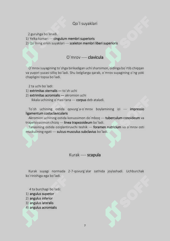 Anatomiya qo'llanma tushunarli osonlashtirilgan varianti 7