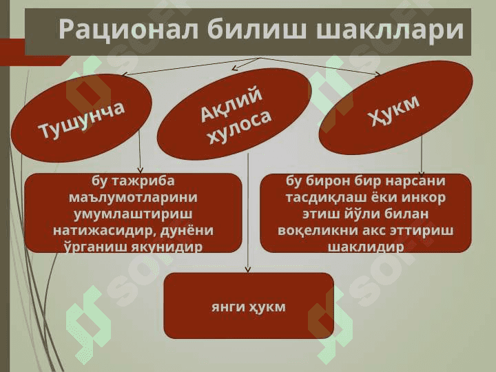 Mantiq tushunchasi. 8