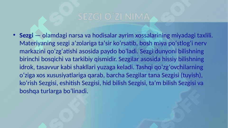 Sezgi 2